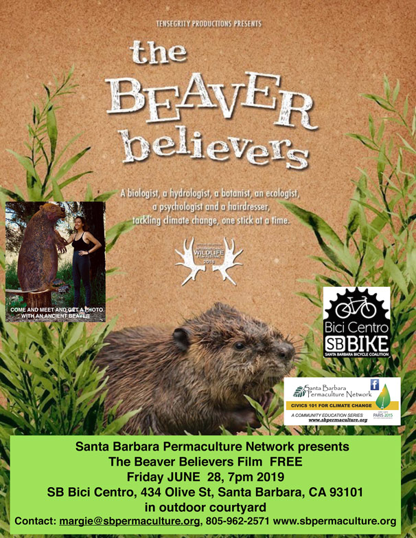 The Beaver Believers film