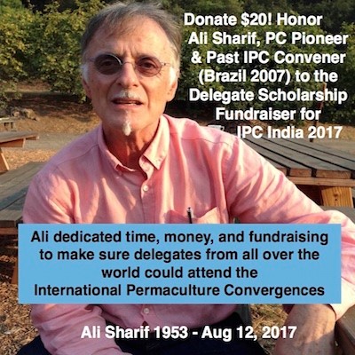 Donate $40 to honor Ali Sharif