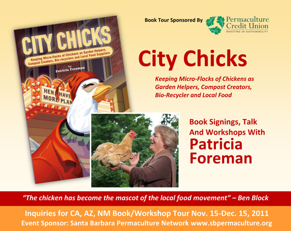city chicks poster